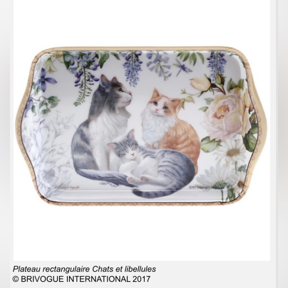 Melamine tray by “BRIVOGUE INTERNATIONAL 2017”